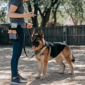 Natural & Holistic Pet Diet Guide